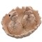 5 1/2" Bone Bird Nest with Baby Bird Skeletons Halloween Decoration